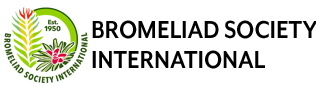 BSI