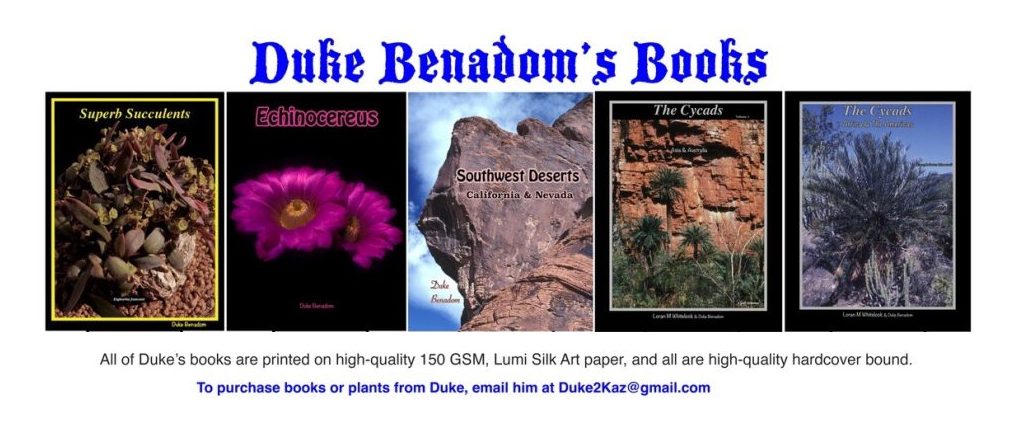 Images of the covers of Duke Benadom's books