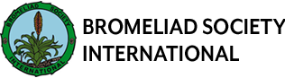 BSI Logo